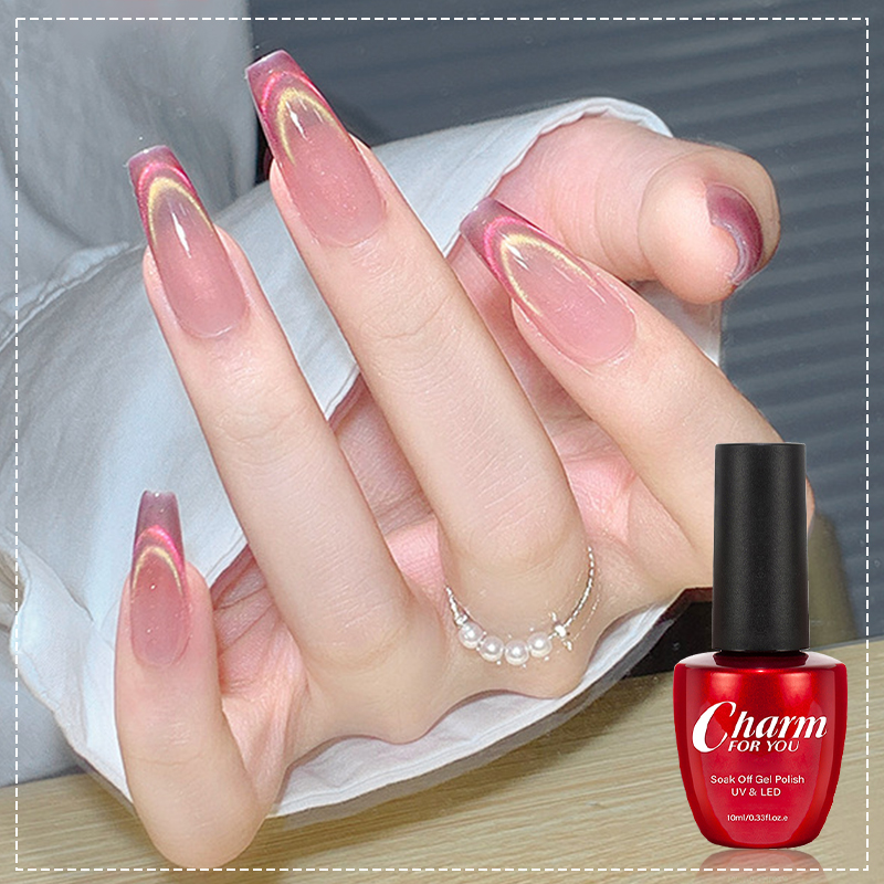 Nail Art Rainbow - 6가지 색상 오로라 캣아이 마그네틱 젤