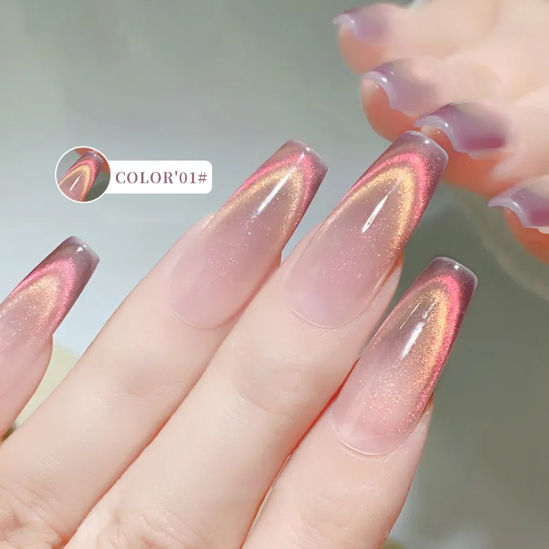 6가지 색상 오로라 캣아이 마그네틱 젤 네일 폴리쉬,  - Nail Art Rainbow 리뷰 및 가격
